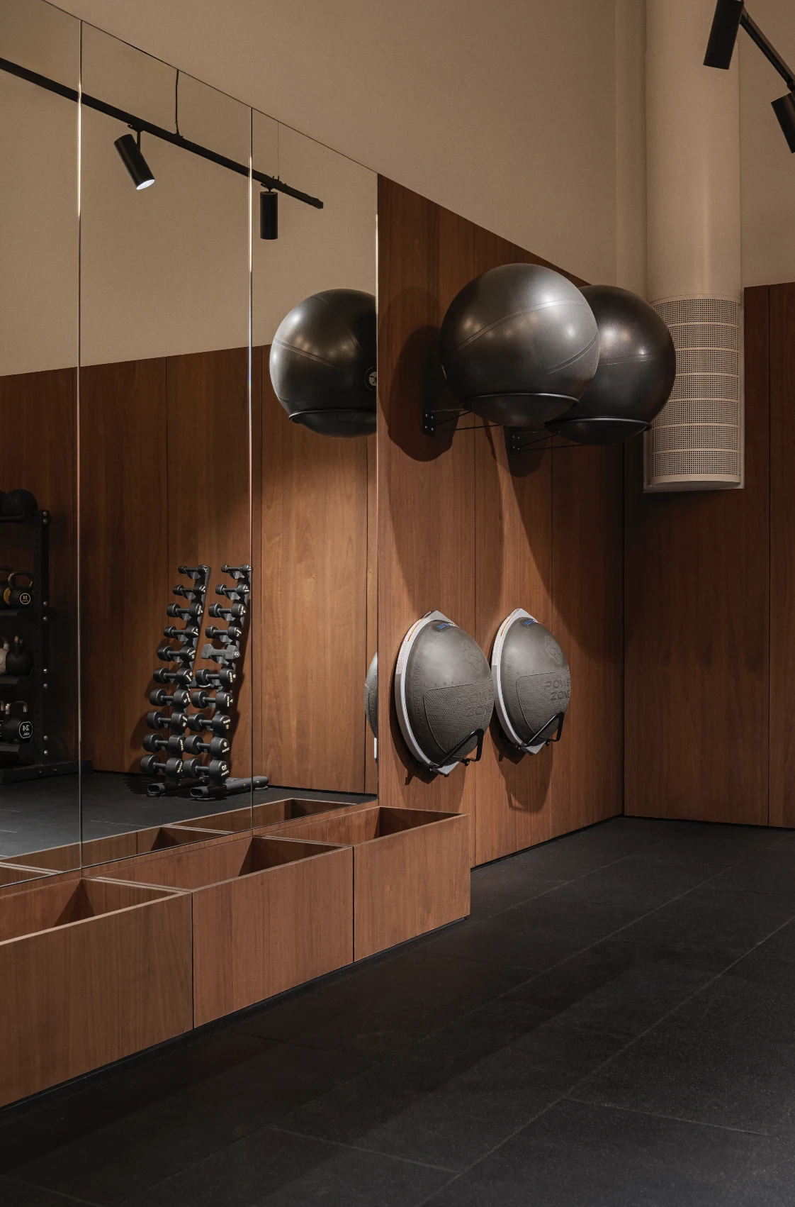 Medicine balls and dumbbells reflected in the mirrored wall above oak storage
